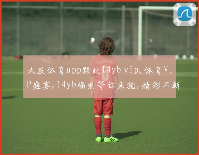 大发体育app颗此14yb vip,体育VIP盛宴,14yb福利等你来抢,精彩不断