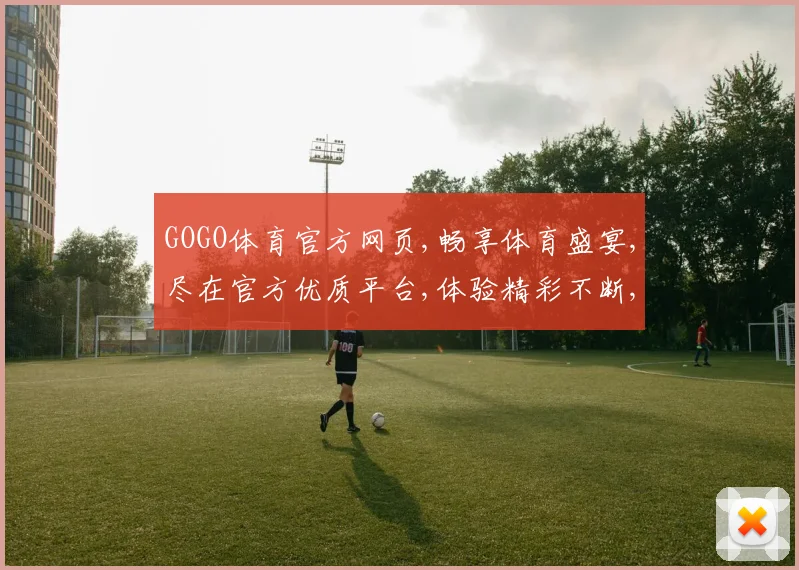 GOGO体育官方网页,畅享体育盛宴,尽在官方优质平台,体验精彩不断,一触即达