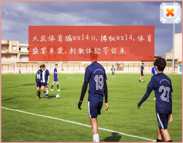 大发体育煽wx14 o,揭秘wx14,体育盛宴来袭,刺激体验等你来
